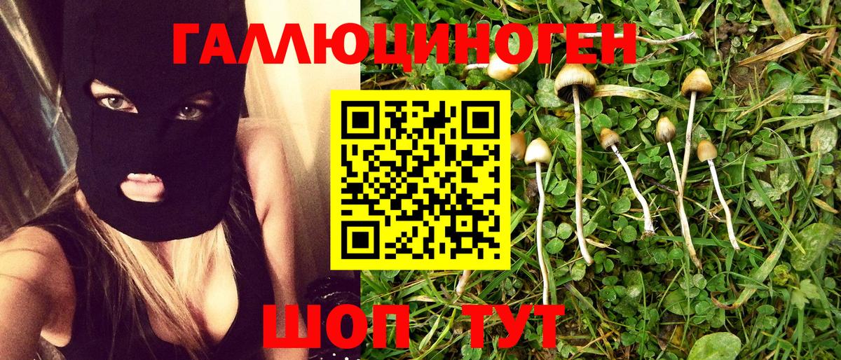 Псилоцибиновые грибы MAGIC MUSHROOMS Острогожск